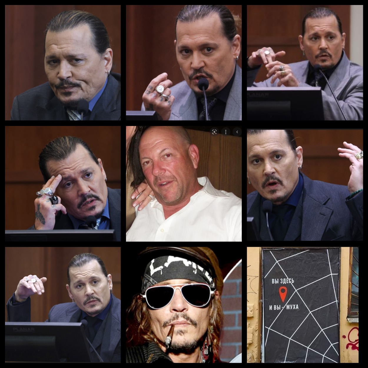 доска почета пингвины. пингвин месяца. месяцы позора. доска позора пингвинов. доска позора ссср.